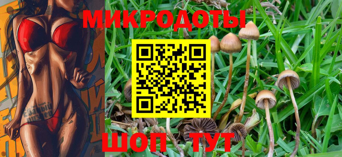 Псилоцибиновые грибы MAGIC MUSHROOMS  Вход с VPN  хочу наркоту  Ялта 